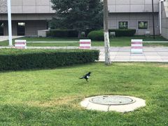 -宁夏博物馆
