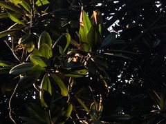 -龙头寺公园