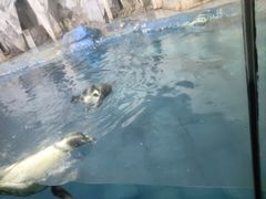 -太平洋海底世界