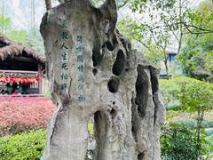 -绍兴鲁迅故里·沈园景区