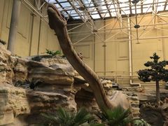 -国家自然博物馆