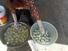 -金台阶鱼馆(于桥水库店)
