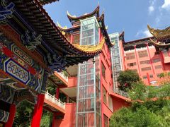 -东莞市大岭山森林公园