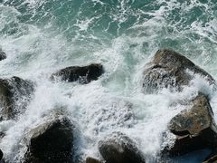 -广东惠东海龟国家级自然保护区