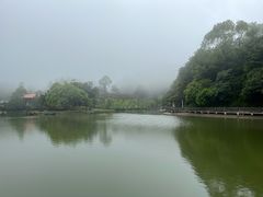 -广州市帽峰山景区