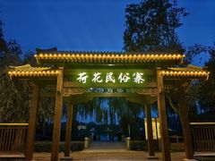 -荷花大观园