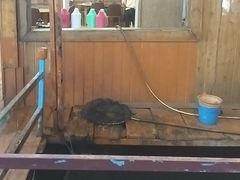 -蓝湾碧波·老字号·疍家非遗海上餐厅