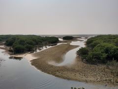 -北海金海湾红树林生态旅游区
