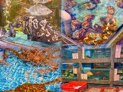 -新金盛·海鲜酒楼(盐田店)