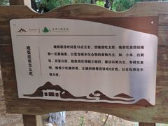 -石老人观光园