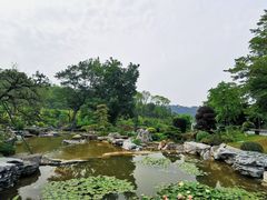 -东莞植物园