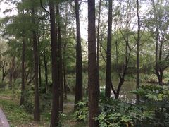 -新江湾城公园