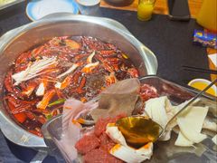 -金鼎雪山牦牛杂火锅(理县总店)