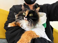-美联众合动物医院·24h京西诊疗中心