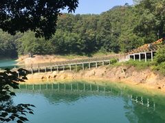 -广州市流溪河国家森林公园
