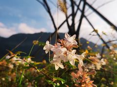 -雁荡山雁湖景区