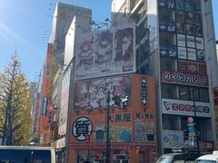 -秋叶原电器街