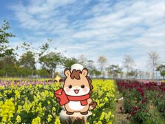 -天适樱花悠乐园