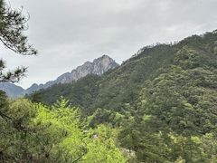 -黄山风景区