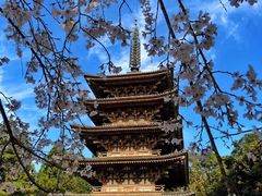 -醍醐寺