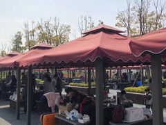 -春花秋色城市公园