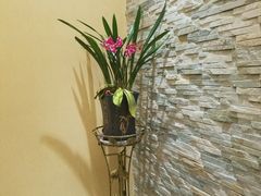 -萨拉伯尔水源素问店·韩国宫廷料理(人民路店)