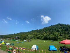 -武陵山森林公园