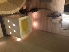 bath&nbsp;and&nbsp;bloom-Bath & Bloom Flagship Store at Central World