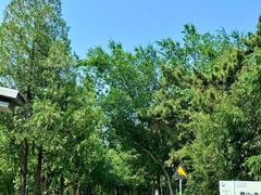 -沂蒙山旅游区云蒙景区(蒙山国家森林公园)
