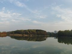 -昆山城市生态森林公园