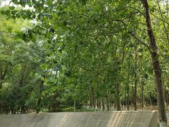 -八大关景区