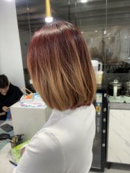 -镁连社·美联社