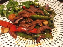 尖椒炒牛柳-广州逸林假日酒店·四季桃源中餐厅(白云山风景区店)