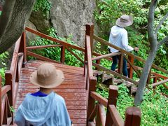 -大岭沟猕猴桃谷风景区