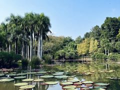-中国科学院西双版纳热带植物园