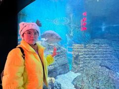 -烟台海昌鲸鲨海洋公园