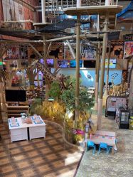 -卡通尼·Safari非洲探索乐园·生日会(金桥国际商业广场店)