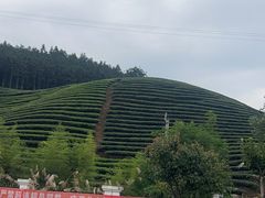 -九点小吃·安吉特色