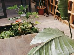 -邈墨茶馆(大兜路1号店)