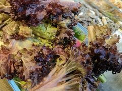 -KAOKAO烤烤·丹东海鲜烧烤(望京店)