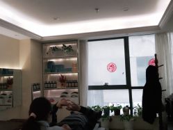 -碧莲盛·不剃发植发