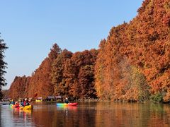 -上海海湾国家森林公园