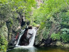 -云岫谷游猎自然风景区