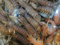 -鑫渔港海鲜本地菜·山海关浑锅(东戴河店)