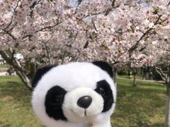 -上海野生动物园
