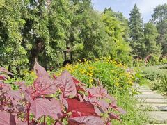 -国家植物园南园