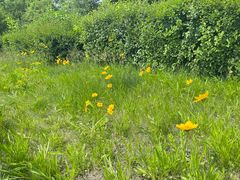 -长春市南湖公园