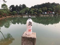 -铁山坪森林公园