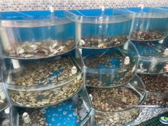 -仙螺岛海鲜自助餐厅(总店)