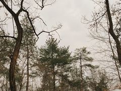 -大蜀山国家森林公园